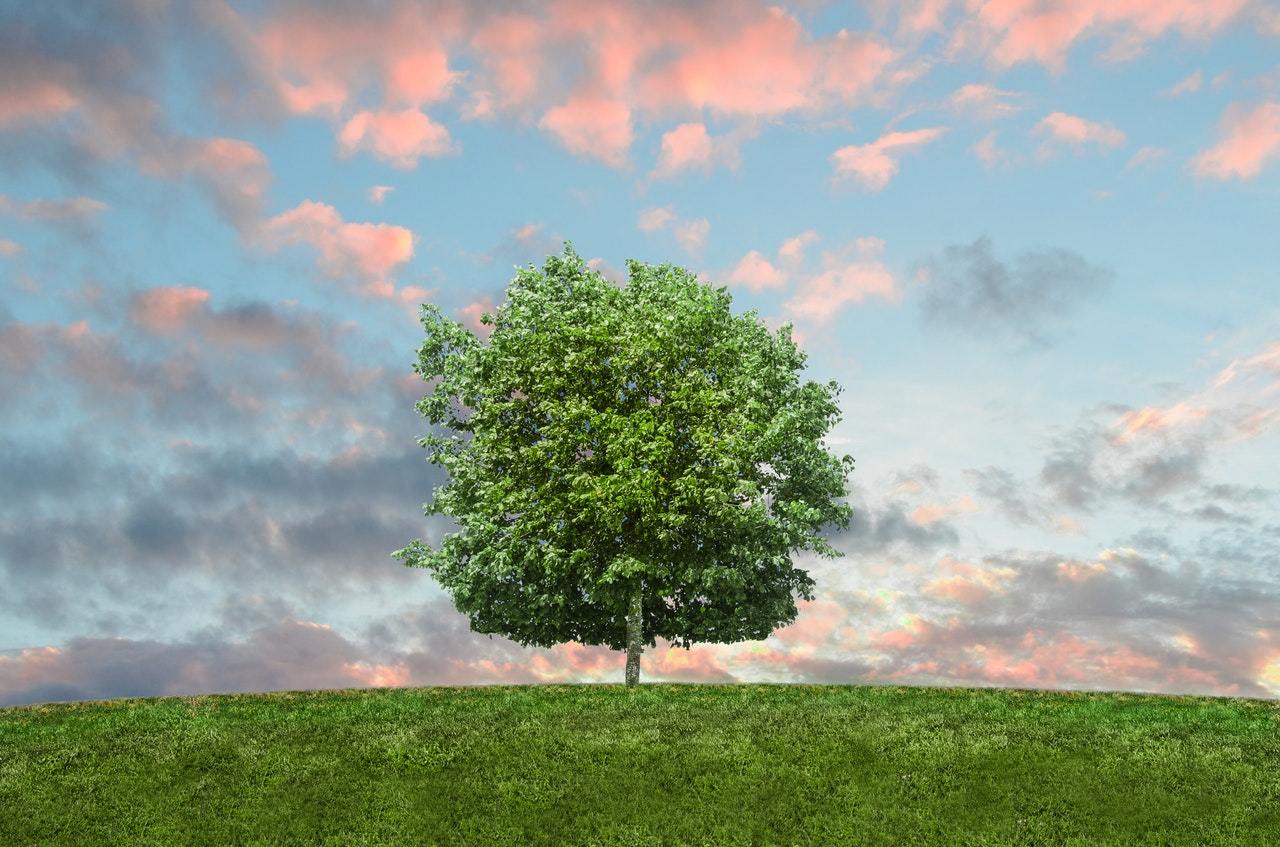 How a Healthier self is Essential for a Healthier Planet