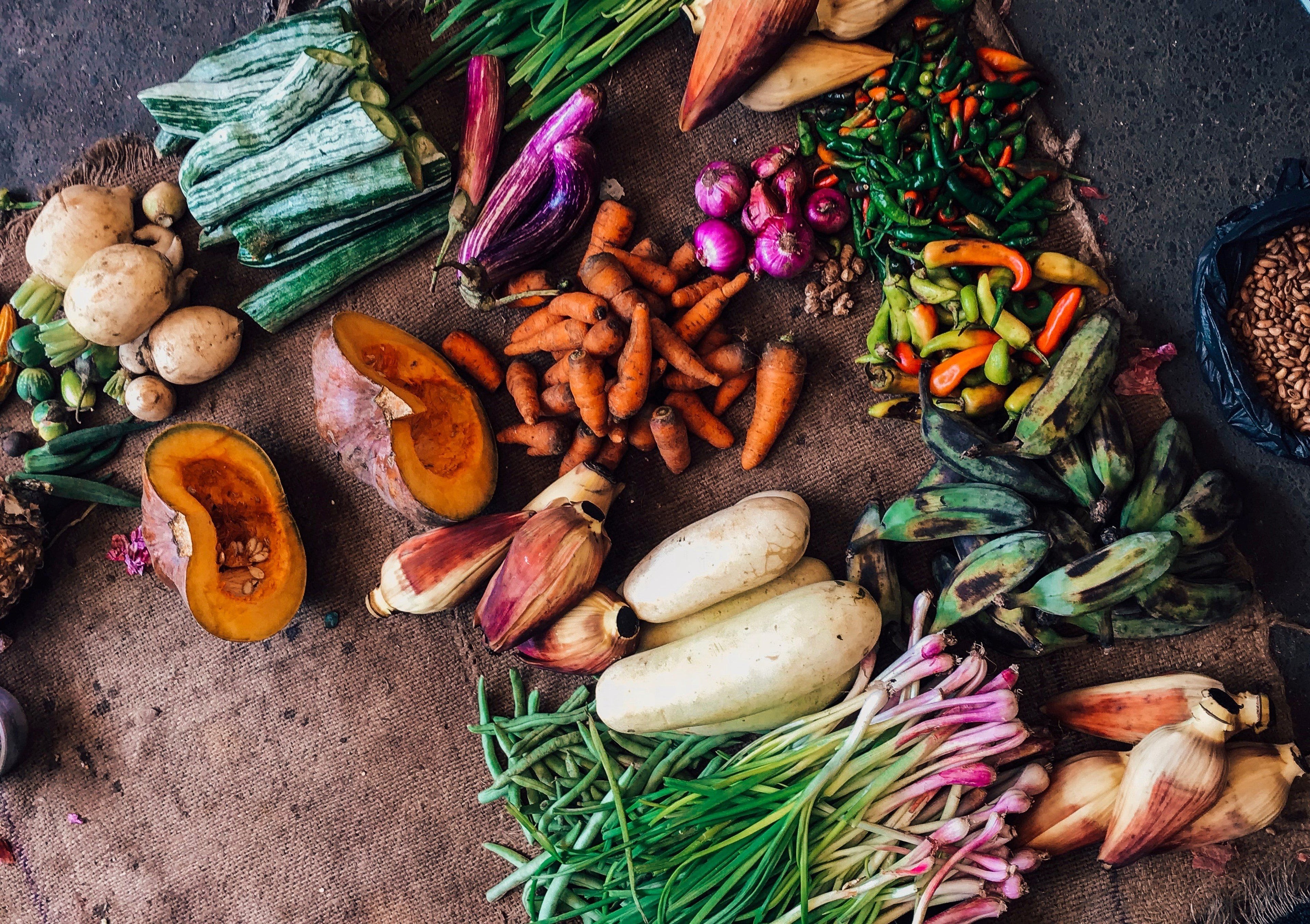 What Is Bokashi Composting & How It Works: A Guide